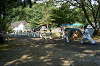 camp27 (430)_thumb.png